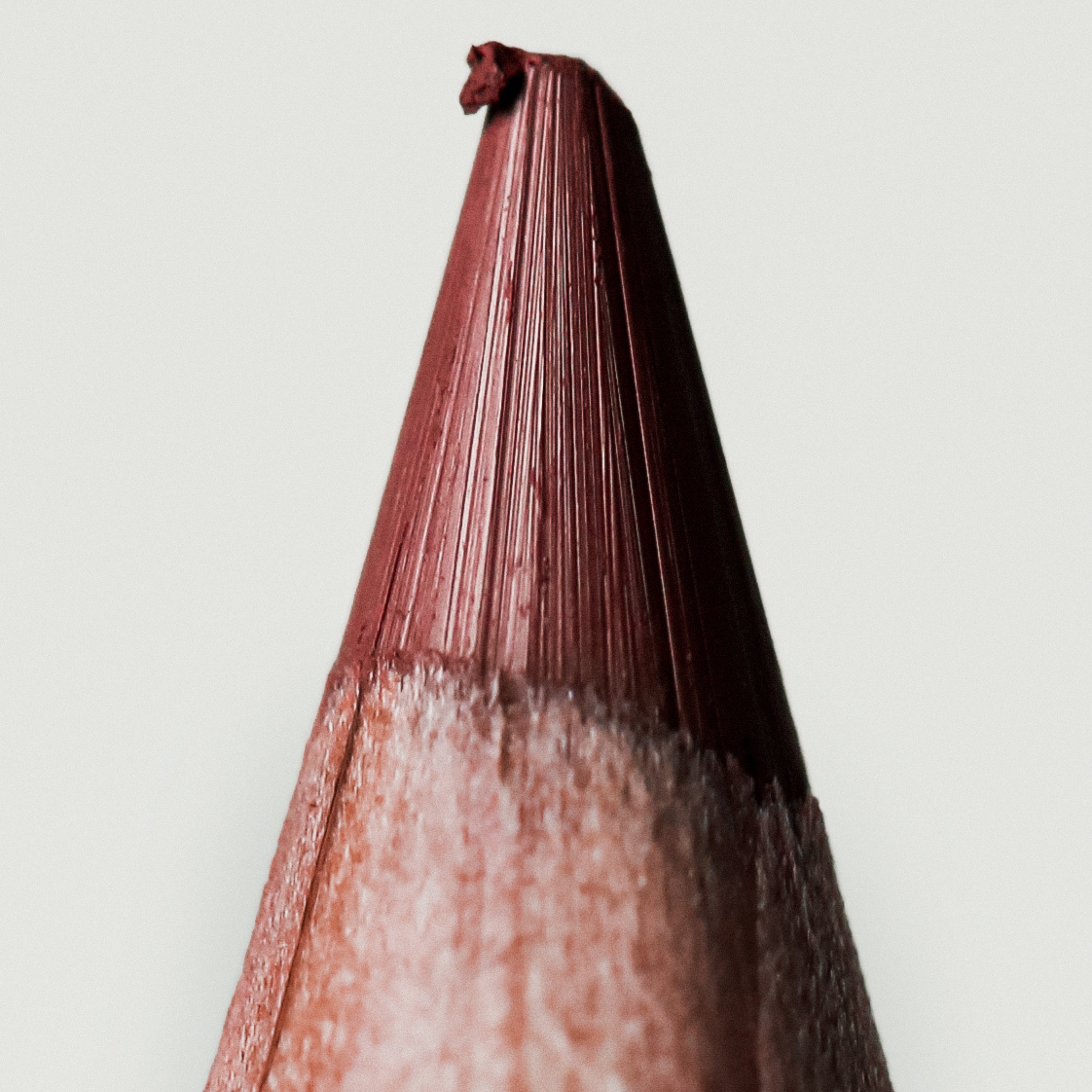 ÂN-DEFINE Ceramide Liner – ANFISA Skin
